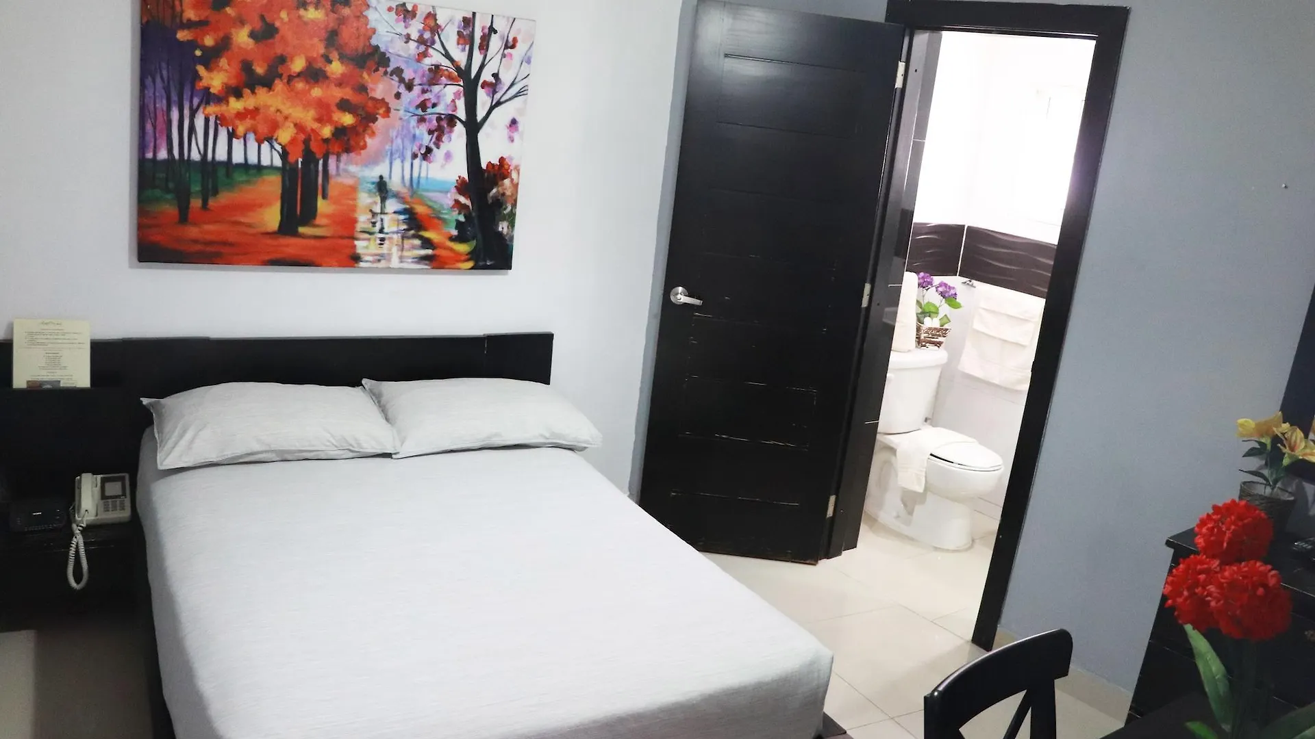 Hotel Merey Saint-Domingue